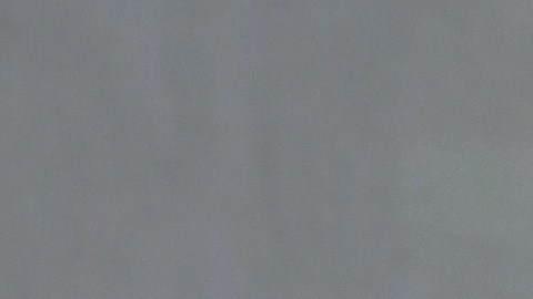 Stephanie Salas Humberto Zurita