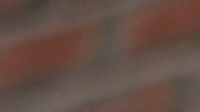 La secretaria de Seguridad Nacional, Kristi Noem, respondió a la decisión afirmando que el TPS nunca fue diseñado para ser permanente.