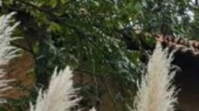 Tapalpa Country Club