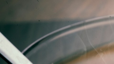 Unas pocas tazas de café o té al día pueden prevenir la demencia, según nuevo estudio