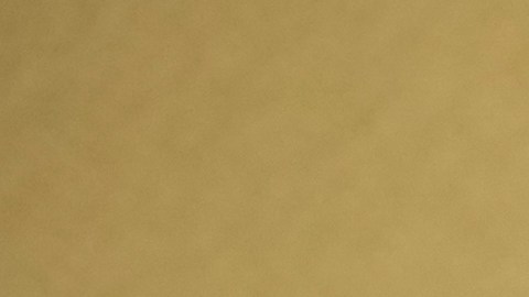 Timothée Chalamet Matthew McConaughey