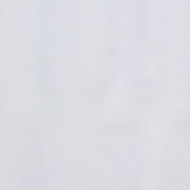 Tom Homan, director interino de Servicio de Control de Inmigración y Aduanas