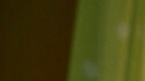 Disney Pixar lanzaron el primer vistazo de Toy Story 5