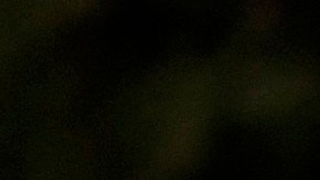 Members with Teamsters Local 2010 join California Faculty Association (CFA) and other California State University (CSU) unions at a rally outside the CSU Chancellor's Office in Long Beach, Calif., on Tuesday, Nov. 14, 2023. (AP Photo/Damian Dovarganes)