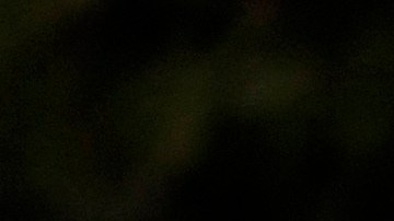 Members with Teamsters Local 2010 join California Faculty Association (CFA) and other California State University (CSU) unions at a rally outside the CSU Chancellor's Office in Long Beach, Calif., on Tuesday, Nov. 14, 2023. (AP Photo/Damian Dovarganes)