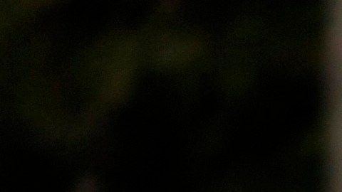 Members with Teamsters Local 2010 join California Faculty Association (CFA) and other California State University (CSU) unions at a rally outside the CSU Chancellor's Office in Long Beach, Calif., on Tuesday, Nov. 14, 2023. (AP Photo/Damian Dovarganes)