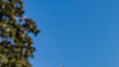 Trump considera que EE.UU. puede hacer algo bueno por sus ciudadanos.