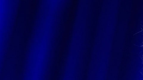 Donald Trump, presidente estadounidense