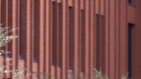 Universidad Estatal de Arizona