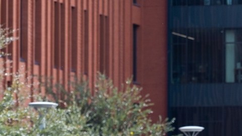 Universidad Estatal de Arizona