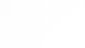 Haz una vaporización efectiva: ¿cuáles son los mejores expectorantes naturales?