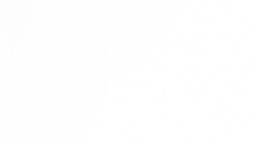 Haz una vaporización efectiva: ¿cuáles son los mejores expectorantes naturales?