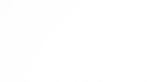 Haz una vaporización efectiva: ¿cuáles son los mejores expectorantes naturales?