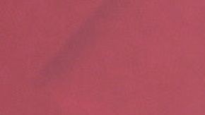 Vicente Fernández Jr. Mariana González