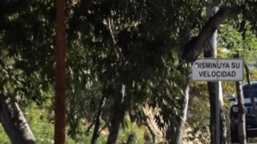 Violencia en Jalisco