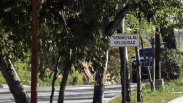 Violencia en Jalisco