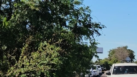 Violencia en Sinaloa