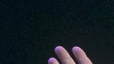 polémicas Willie Colón