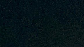 polémicas Willie Colón