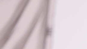 Seguimiento a pareja sentimental de “El Mencho” llevó a su localización y captura, asegura el Secretario de Defensa de México