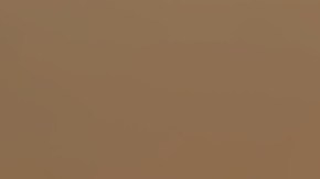 Las almas gemelas en astrología son signos que comparten vínculos profundos.