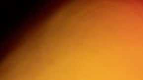 El Año del Caballo se alinea con la energía del trabajo para algunos signos.