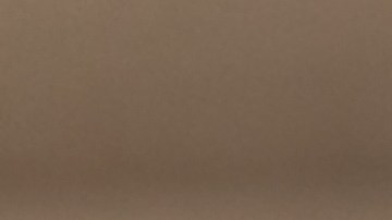 Se cree que la canela acelera la energía del dinero.