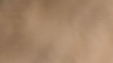 La carta astral de estos signos muestra un poderoso ciclo kármico.