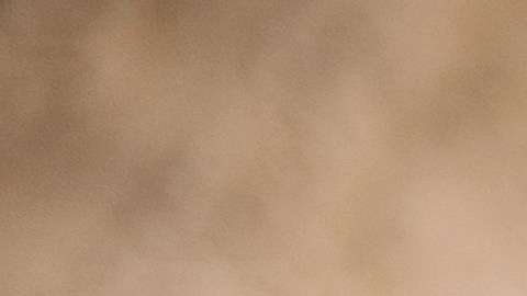 La carta astral de estos signos muestra un poderoso ciclo kármico.