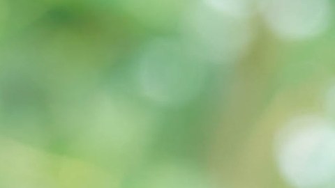 La asistencia se brinda por orden de llegada, por lo que los organizadores recomiendan acudir con anticipación para asegurar el acceso a los alimentos disponibles.