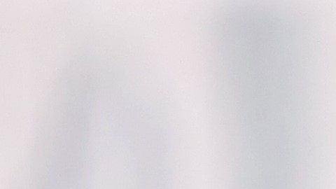 Cumplir con los requisitos para registrar tu auto en Texas, dentro del plazo establecido, evita multas y facilita la obtención de placas y título.