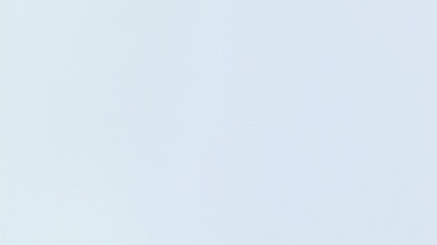 El equipo Dell OptiPlex incluye un procesador Intel Core i5 de 3ª generación, con 3.2 GHz, suficiente para las tareas habituales del trabajo remoto.