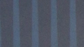 En tan solo cuatro meses, Elon Musk capitalizó $300,000 millones de dólares, ampliando su patrimonio a cifras estratosféricas.