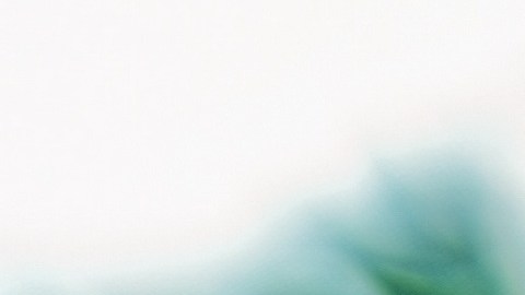 Existen tres cuarzos que destacan por su vibración especial para la abundancia.