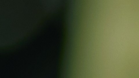 Las piedras preciosas pueden desbloquear tu camino al éxito.