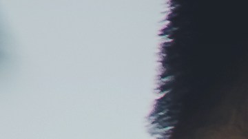 Estos signos podrían entregar su corazón a quien no lo merece.