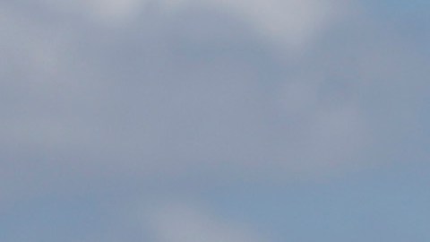 El bebé había sido trasladado el lunes durante unas horas a un hospital local, donde le diagnosticaron bronquitis.