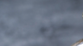 Alimentos de la dieta keto como salmón, palta, huevo, frutos secos y aceite de oliva.