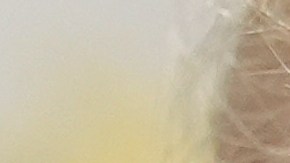 Las declaraciones ocurrieron un día después de que Trump recibiera al primer ministro israelí, Benjamín Netanyahu, en la Casa Blanca.