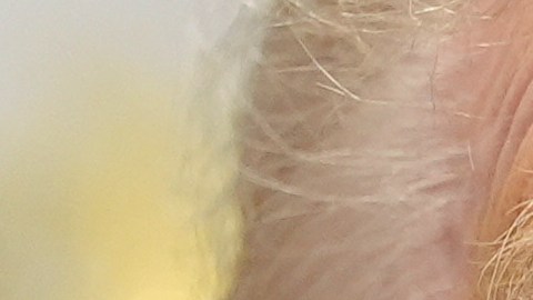 Las declaraciones ocurrieron un día después de que Trump recibiera al primer ministro israelí, Benjamín Netanyahu, en la Casa Blanca.