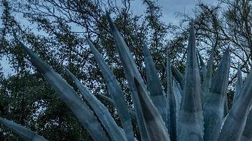 Un secuestro, una demanda de Bitcoin y un ícono de la televisión: por qué el caso de Nancy Guthrie ha conmovido a Estados Unidos