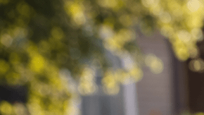 Niños buscando huevos de Pascua en un jardín con canastas coloridas durante una Easter egg hunt