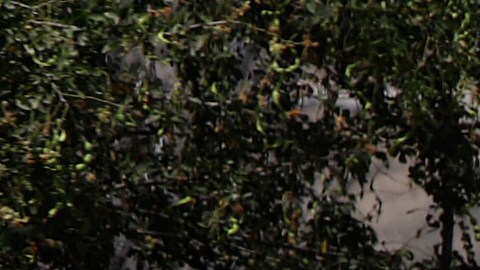 Crenshaw aseguró que el cártel de “El Mencho” intentó asesinar Omar García Harfuch y fracasó.