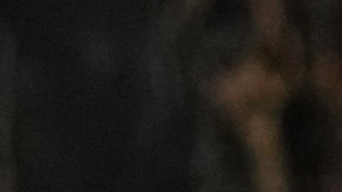 La política migratoria ha sido desde que empezó el segundo mandato de Trump en la Casa Blanca una de las obsesiones presidenciales.