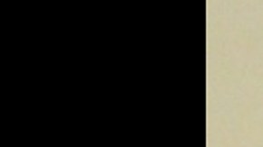 Bill Stevenson, de 77 años, fue detenido el lunes y permanece recluido en la Institución Correccional Howard Young