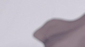 Sheinbaum propone reforma para limitar pensiones de altos exfuncionarios mexicanos