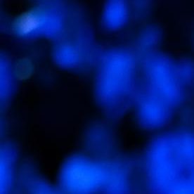 Carlos Alcaraz levanta el trofeo de campeón del Australian Open para completar la colección de los cuatro eventos que componen el grand slam del tenis mundial. El español es el jugador más joven en hacerlo a los 22 años.