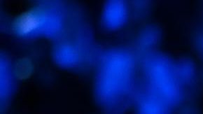 Carlos Alcaraz levanta el trofeo de campeón del Australian Open para completar la colección de los cuatro eventos que componen el grand slam del tenis mundial. El español es el jugador más joven en hacerlo a los 22 años.