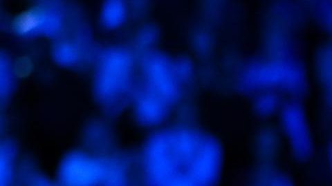 Carlos Alcaraz levanta el trofeo de campeón del Australian Open para completar la colección de los cuatro eventos que componen el grand slam del tenis mundial. El español es el jugador más joven en hacerlo a los 22 años.