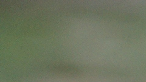 El Caballo es el amuleto de la suerte para el Feng Shui en el 2026.